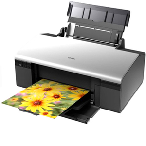 Konserwacja Epson Stylus Photo R290